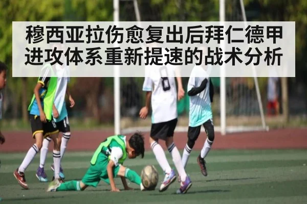 穆西亚拉伤愈复出后拜仁德甲进攻体系重新提速的战术分析