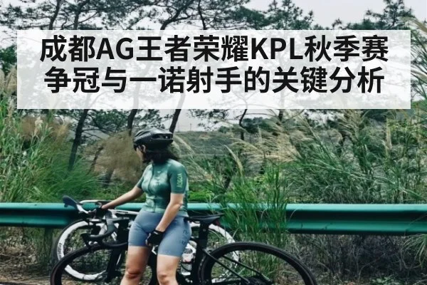 成都AG王者荣耀KPL秋季赛争冠与一诺射手的关键分析