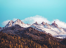 通过“B体育官方”开启你的体育新纪元